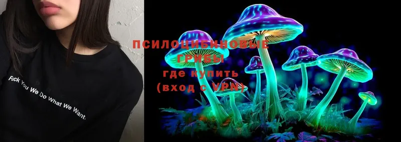 Галлюциногенные грибы Psilocybe  Анадырь 